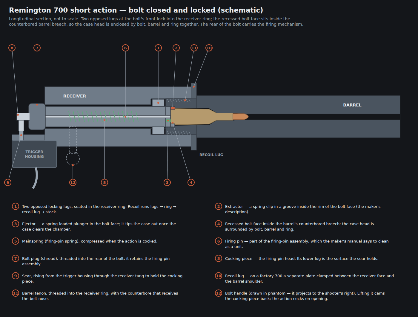 Figure 1 — A Remington 700 short action with the bolt closed and locked, in schematic section. The numbered parts are described in the text below. Proportions are illustrative.