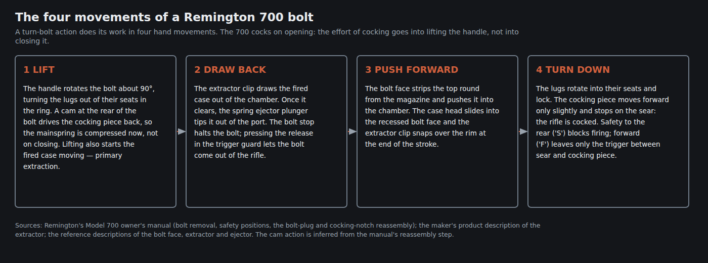 Figure 3 — The four movements of the bolt: lift, draw back, push forward, turn down. Drawn for this dive.