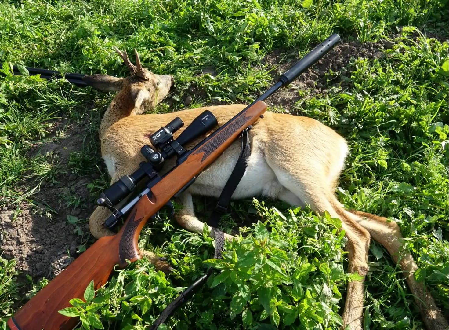 Figure 3 — A suppressed rifle in the field. The argument that actually won suppressor legalisation state by state is this one: it is noise-abatement equipment that also protects the shooter's hearing. Source:…